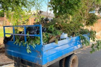 Foto - DIA D: MOBILIZAÇÃO ESTADUAL CONTRA A DENGUE